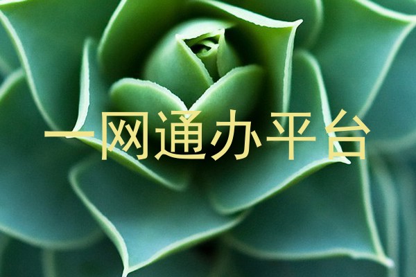 一网通办平台