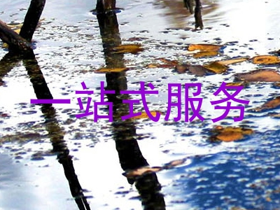 一站式服务