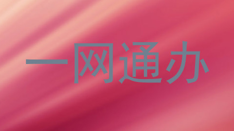 一网通办