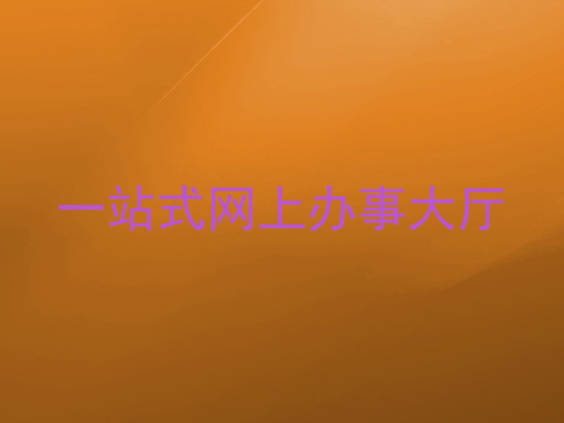 一站式网上办事大厅