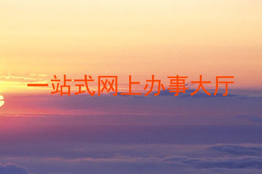 一站式网上办事大厅