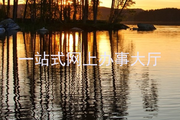 一站式网上办事大厅