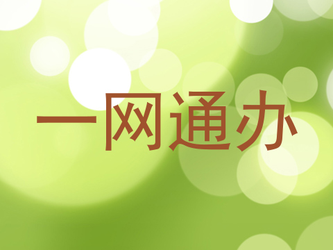 一网通办