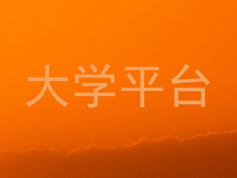 大学平台
