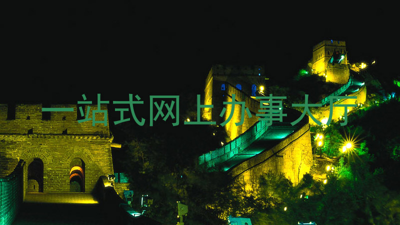 一站式网上办事大厅