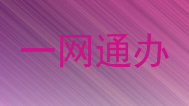 一网通办