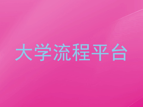 大学流程平台