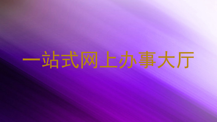 一站式网上办事大厅