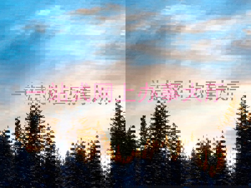 一站式网上办事大厅