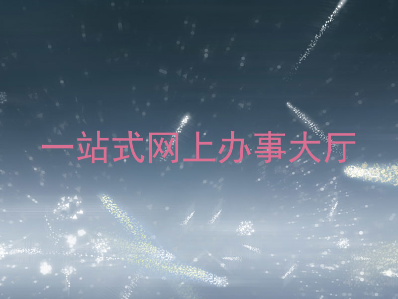 一站式网上办事大厅