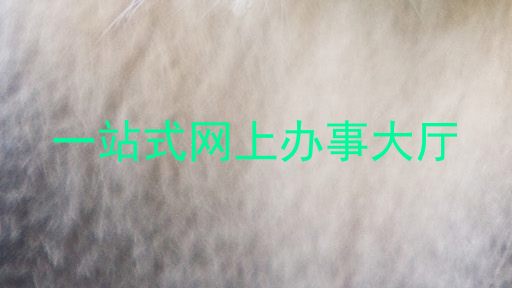 一站式网上办事大厅