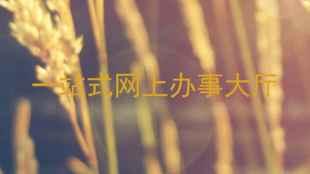 一站式网上办事大厅