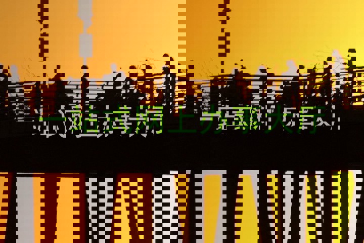 一站式网上办事大厅