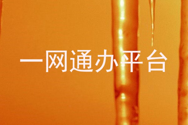 一网通办平台