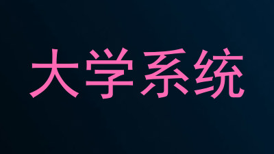 大学系统