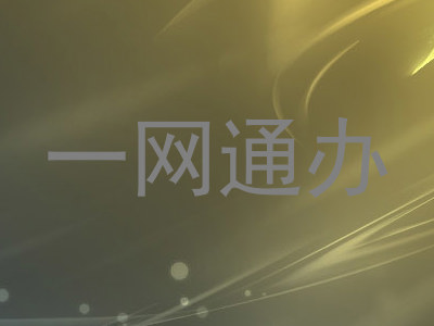 一网通办