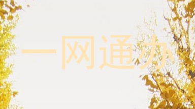 一网通办
