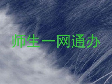 师生一网通办