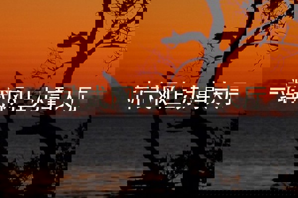 一站式网上办事大厅