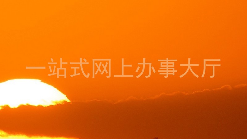 一站式网上办事大厅