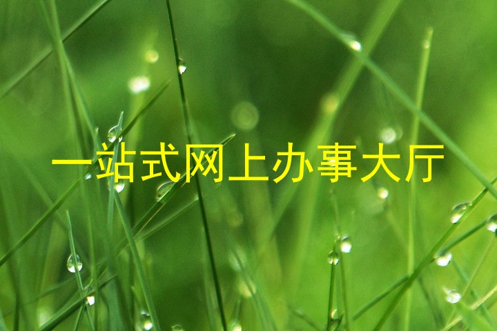 一站式网上办事大厅