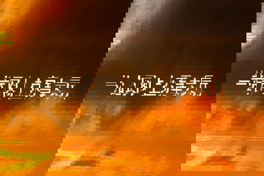 一站式网上办事大厅