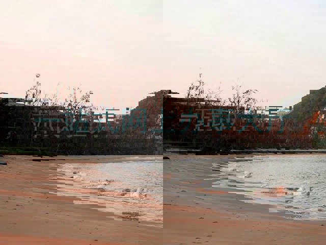 一站式网上办事大厅