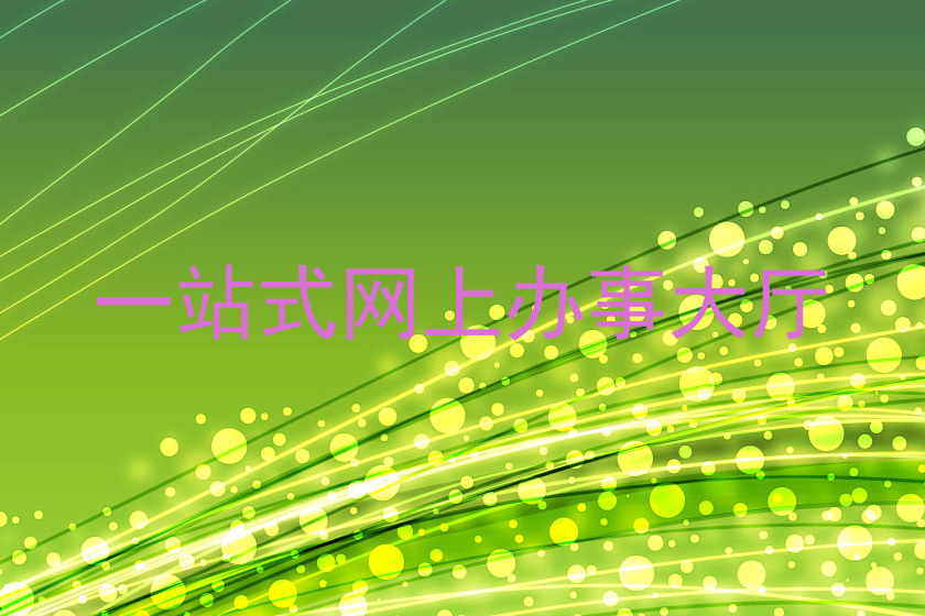 一站式网上办事大厅