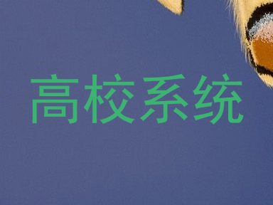 高校系统