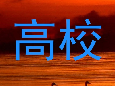 高校