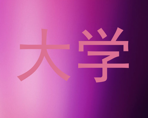 大学