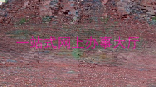 一站式网上办事大厅