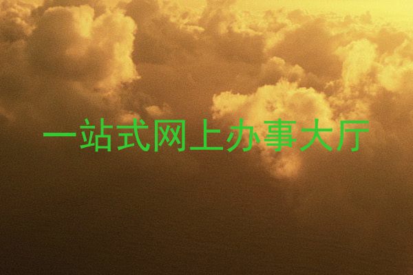 一站式网上办事大厅