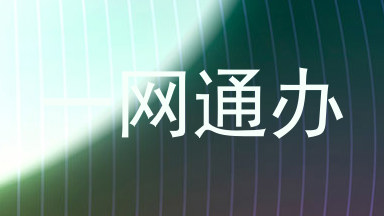 一网通办
