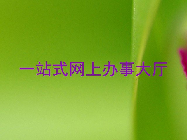 一站式网上办事大厅