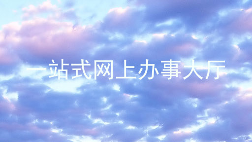 一站式网上办事大厅