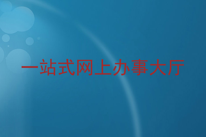 一站式网上办事大厅