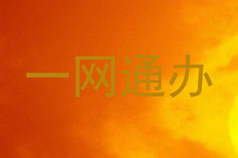 一网通办