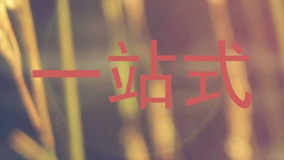 一站式