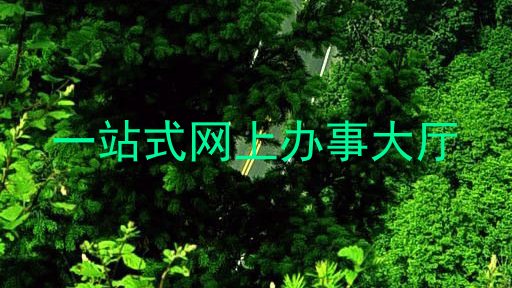 一站式网上办事大厅