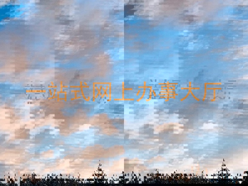 一站式网上办事大厅