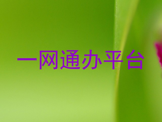 一网通办平台