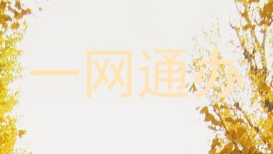 一网通办