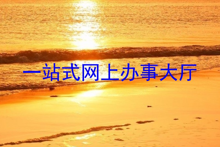 一站式网上办事大厅