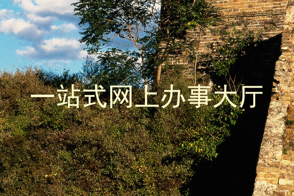 一站式网上办事大厅