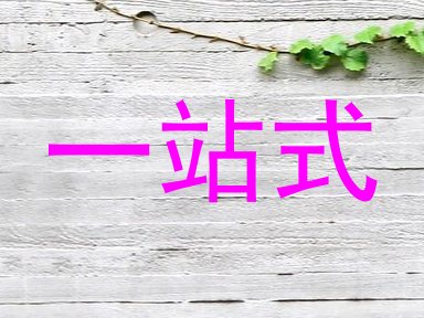 一站式