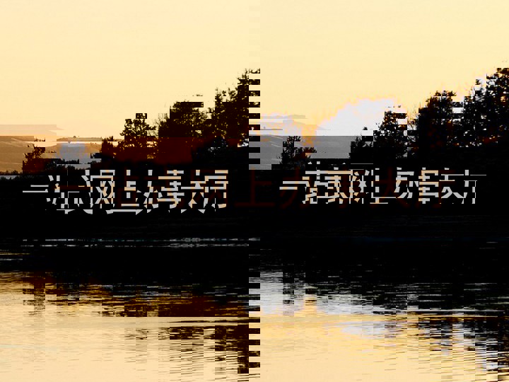 一站式网上办事大厅