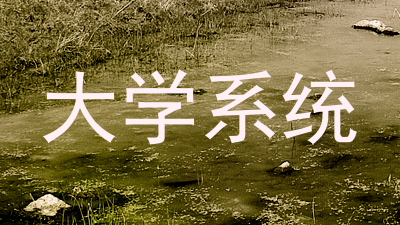 大学系统