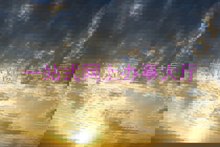 一站式网上办事大厅