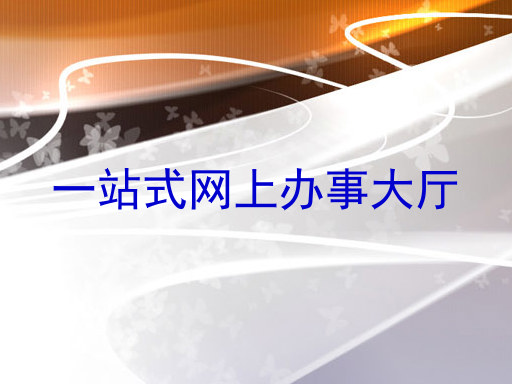 一站式网上办事大厅